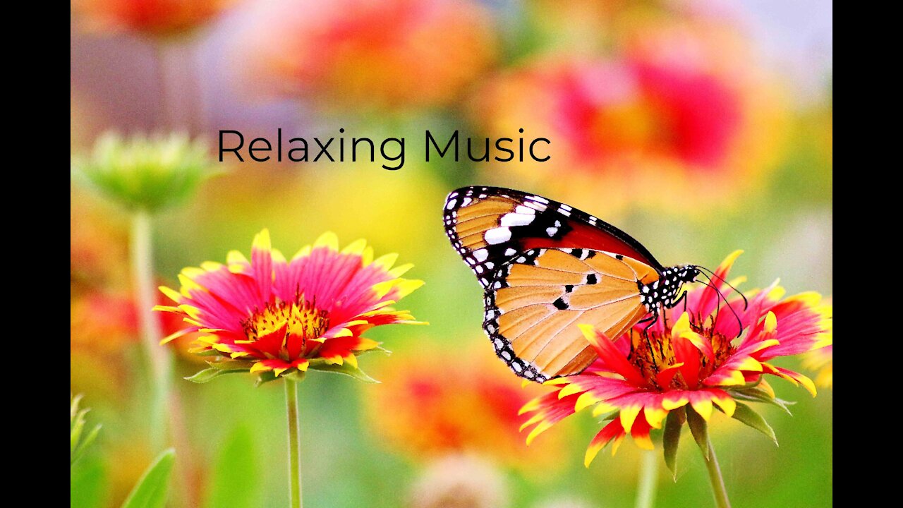 Relaxing music for stress relief during work . soft music for improve moods and boost happiness