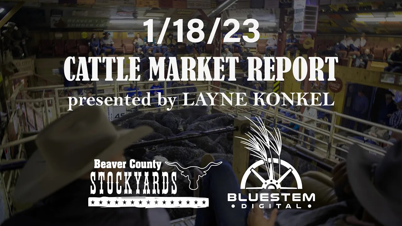 1/18/23 Beaver County Stockyards Cattle Market Report