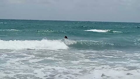 Kerry swimming 🏊‍♂️ 😋 in Florida