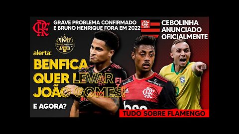 CONFIRMADO PROBLEMA GRAVE NO FLAMENGO! BRUNO HENRIQUE FORA POR 1 ANO! BENFICA QUER LEVAR JOÃO GOMES