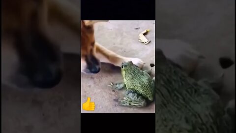 Funny moments 😂#shorts #short #shortvideo #shortsvideo #fun #funny #youtubeshorts