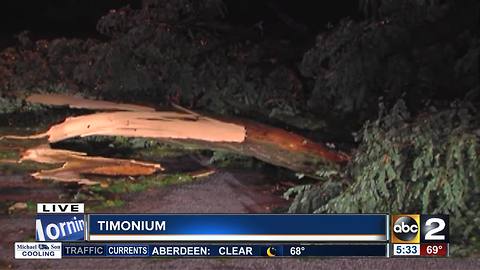 Teen dead after tree falls on car during storm