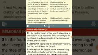 The [UNKNOWN] Commandments of YHWH - No Commandments Found - Numbers 9