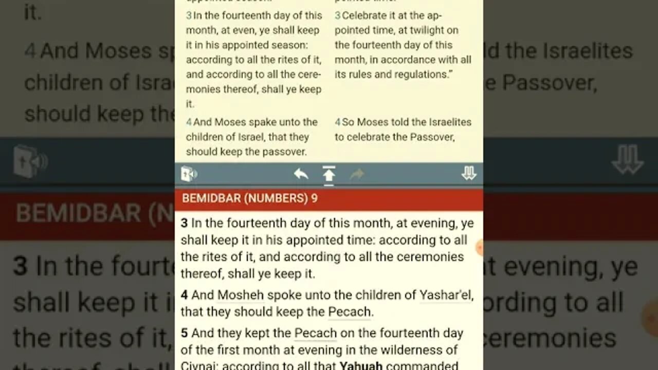 The [UNKNOWN] Commandments of YHWH - No Commandments Found - Numbers 9
