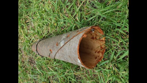 Birch bark moose call
