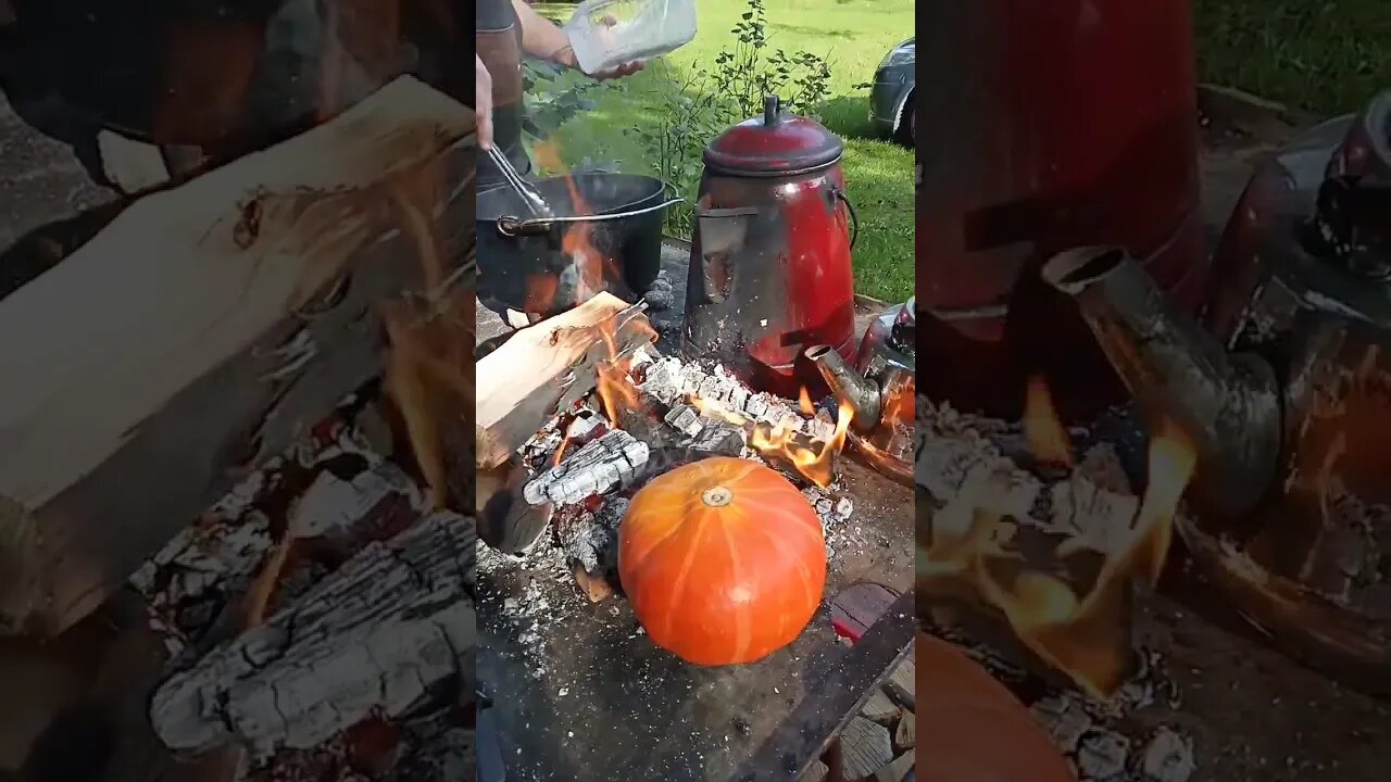 #shorts #feuer #lagerfeuer