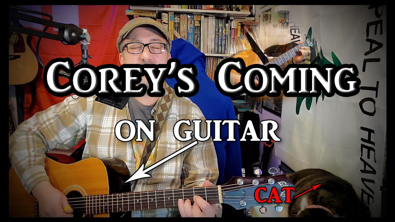 Harry Chapin's Corey's Coming on Guitar (with my cat)