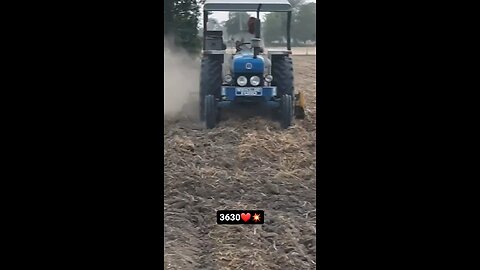 Farming fun