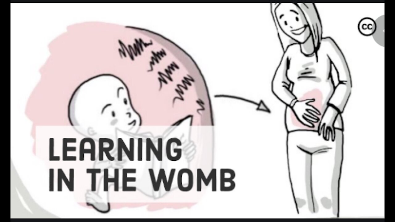 What Babies Learn in the Womb | Prenatal Development