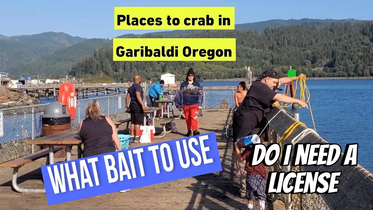 Tips Before Crabbing in Oregon | License | What bait to use | locations