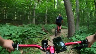 Valley Spur with Chain Punch ( Fatback Rhino )