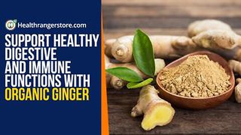 Support healthy digestive and immune functions with Organic Ginger