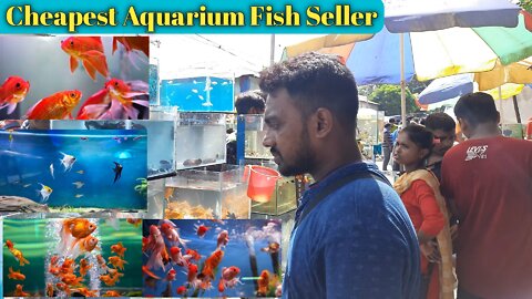 INDIAN AQUARIUM FISH MARKET