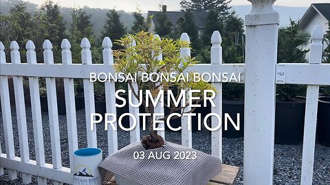 Summer Protection