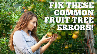 EP:452 What Most Gardeners Get Wrong About Fruit Tree Care (And How to Fix It) w/ Susan Poizner