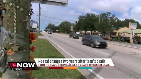 Mother continues fight for zero deaths along Busch Blvd