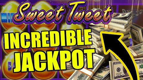 HUGE JACKPOT ON SWEET TWEET!!