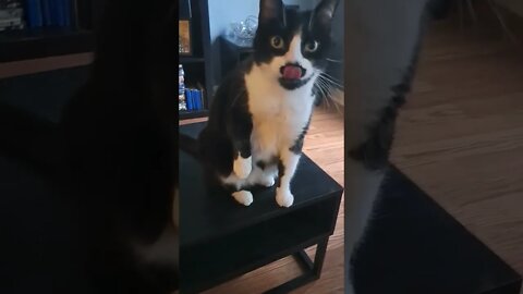 Please, Don't Be Ugly #shorts