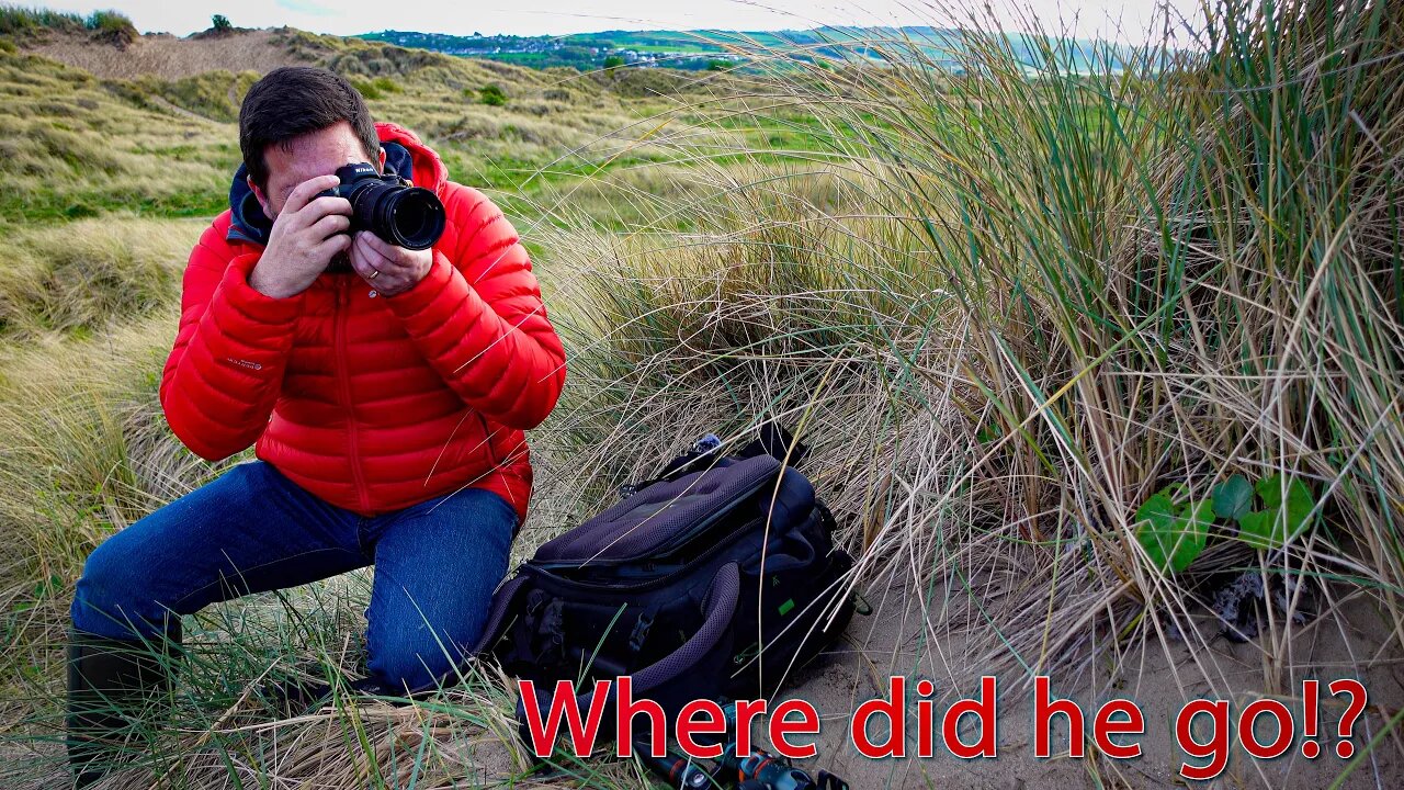 Did I manage to lose the dog?