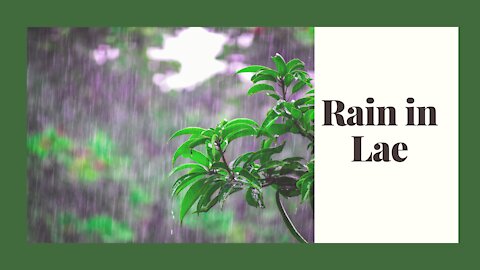 Rainy Day, PNGUOT, Lae, Morobe province, PNG