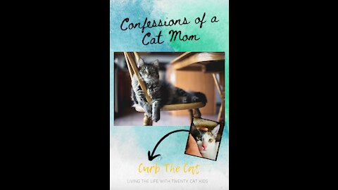 Curb The Cat eBook