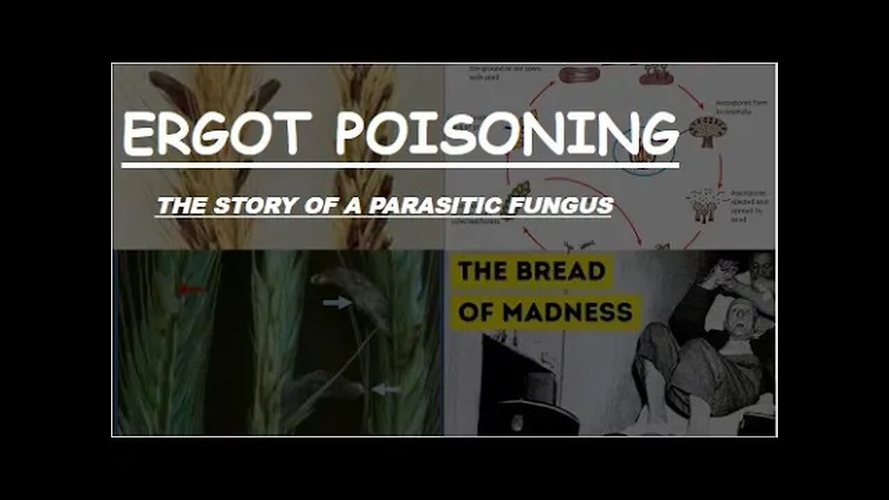 Ergot Poisoning "The Bread of Madness"| Drugs of Plant Origin | #toxicology #medicine | Novice Medic