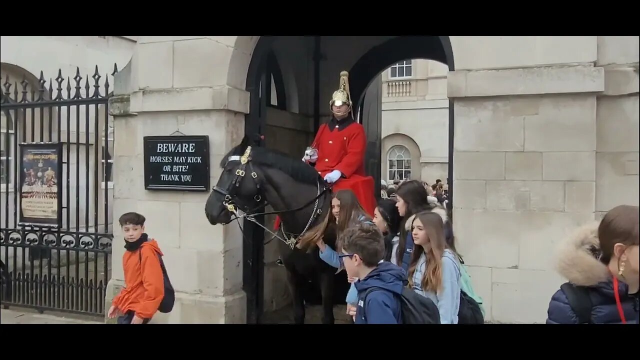 All move back pleased #horseguardsparade
