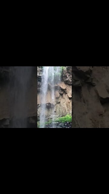 A Austrália não cansa de surpreender! #shorts