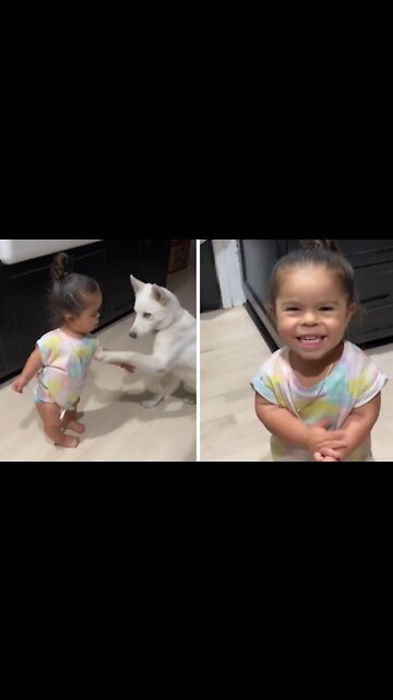 Little Girl Adorably Trains Her Doggy To Do Tricks
