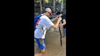 Crossing a River