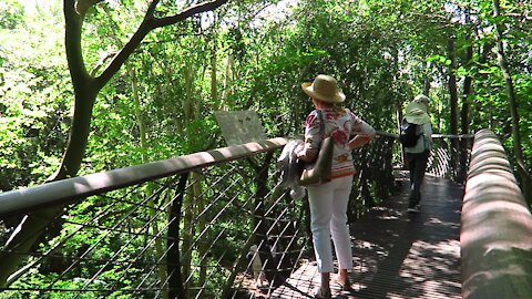 SOUTH AFRICA - Cape Town - Kirstenbosch National Botanical Garden (Video) (opd)