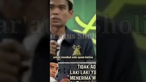 AYAM JANTAN YANG PERKASA