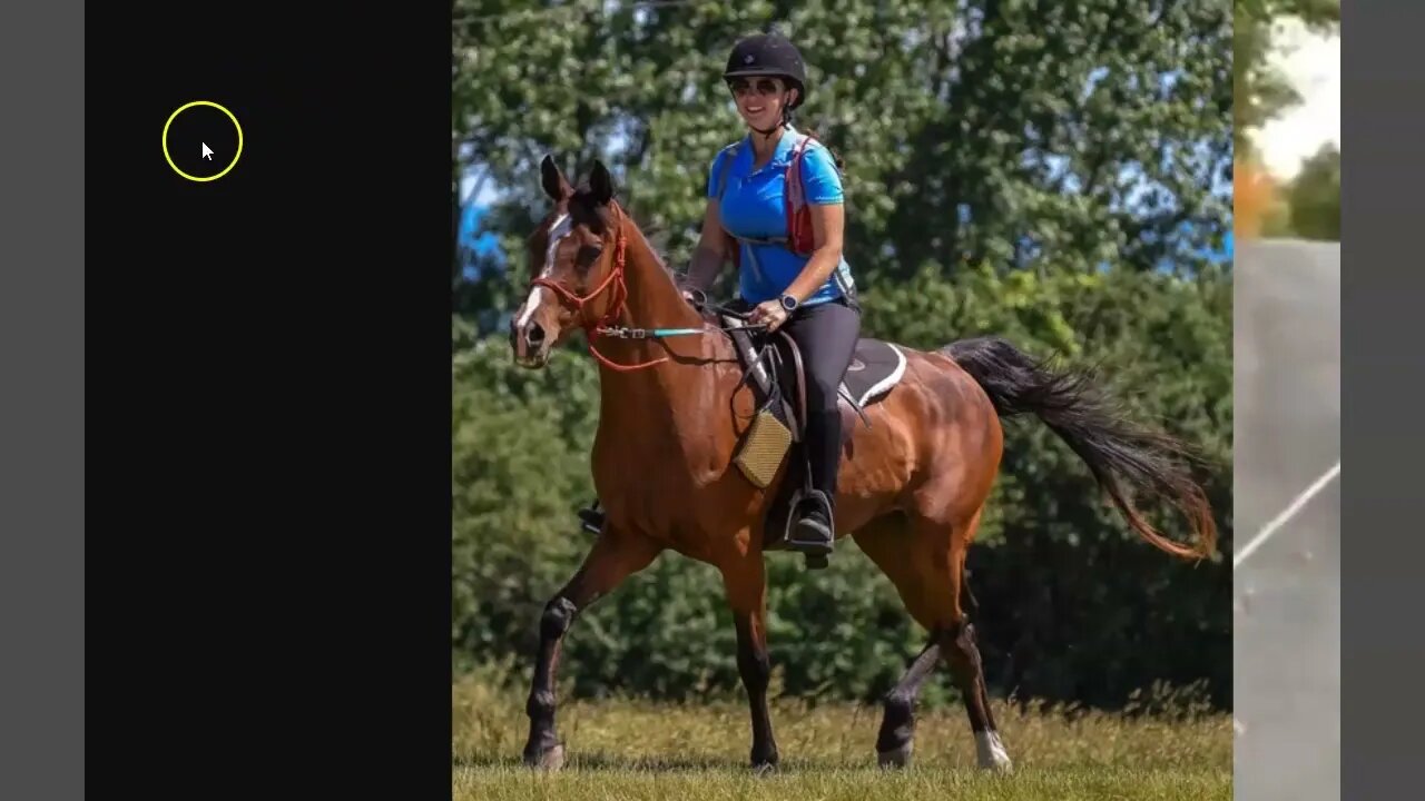 Equestrian Horse Trainer Solstice Pecile Of Wishing Stone Farms Drags Horse With Truck