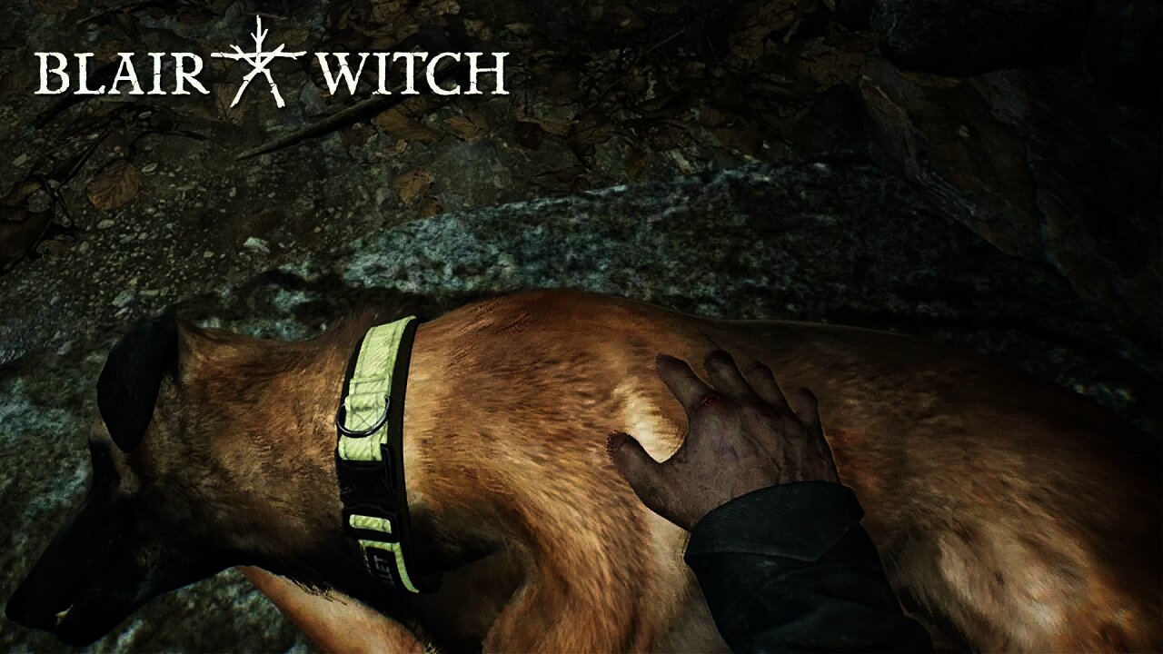 NOT MY POOR DOG!! 😢 - Blair Witch - Part 4