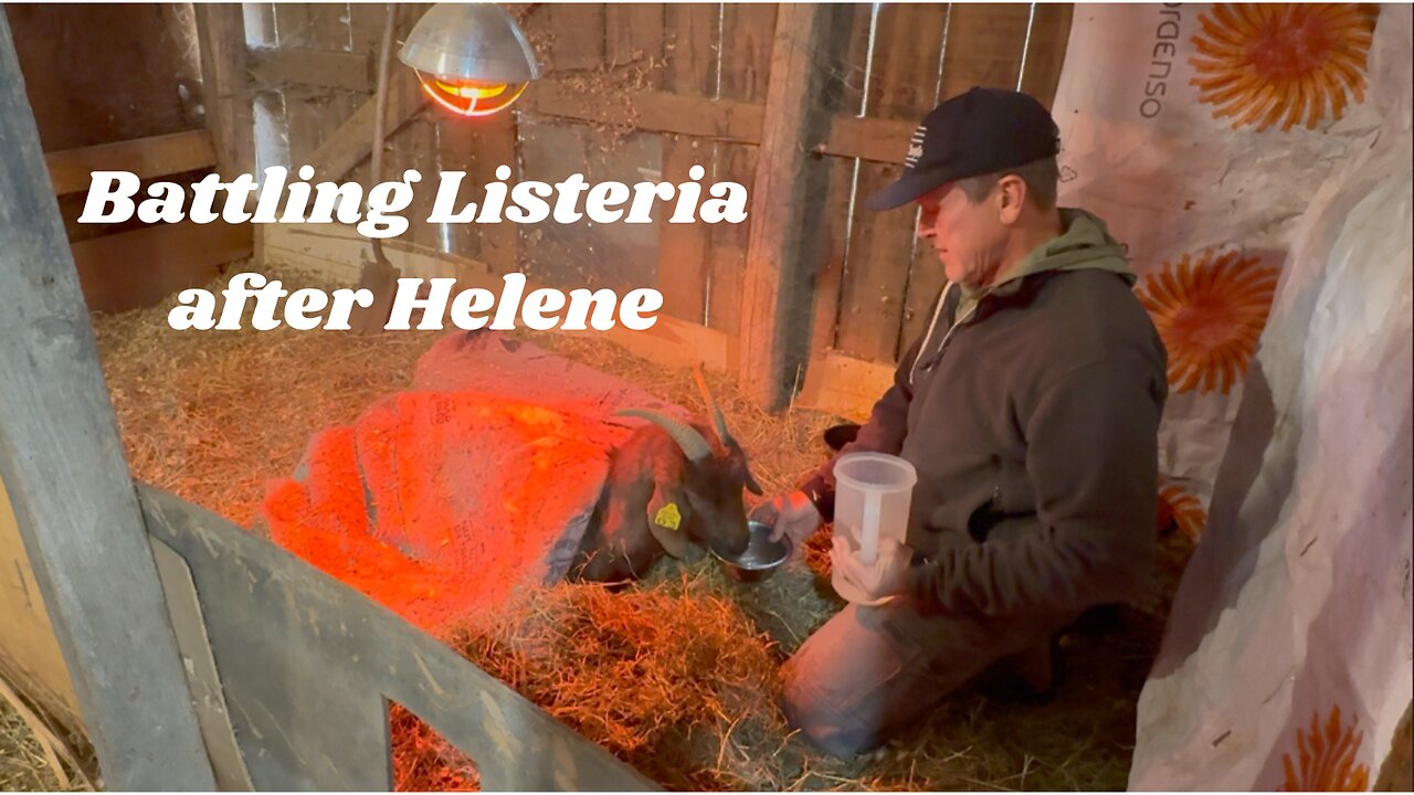 Battling Listeria: Update on Our Sick Goat Hope