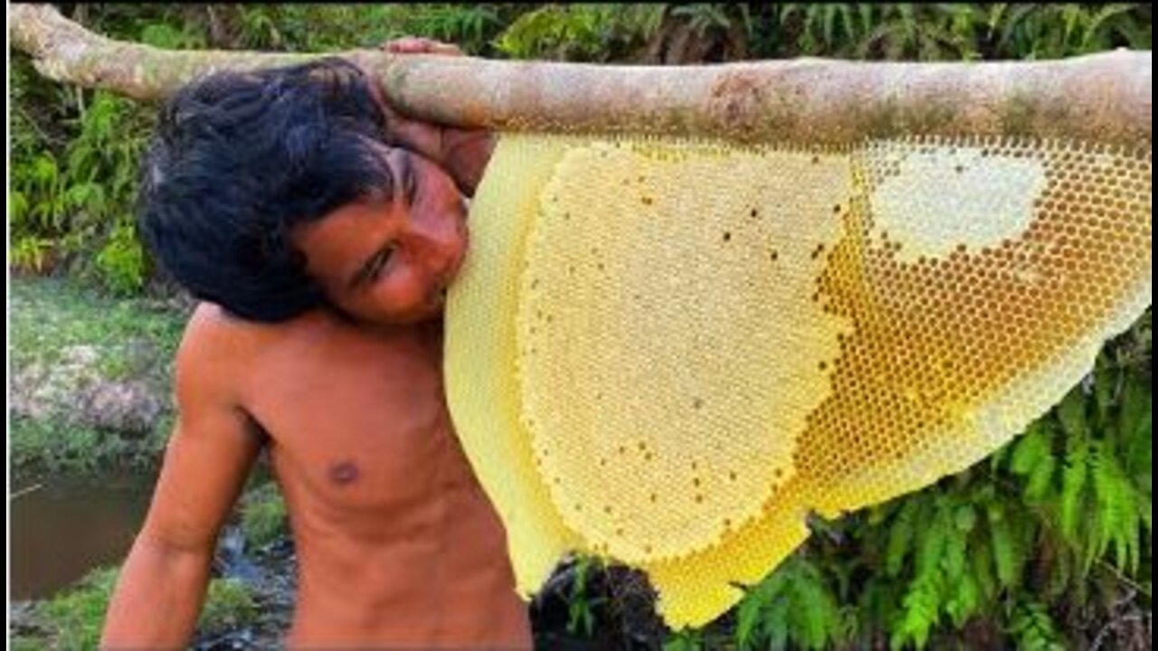 Harvesting Honey Beehive by Hands.. Million Dollars Skill!