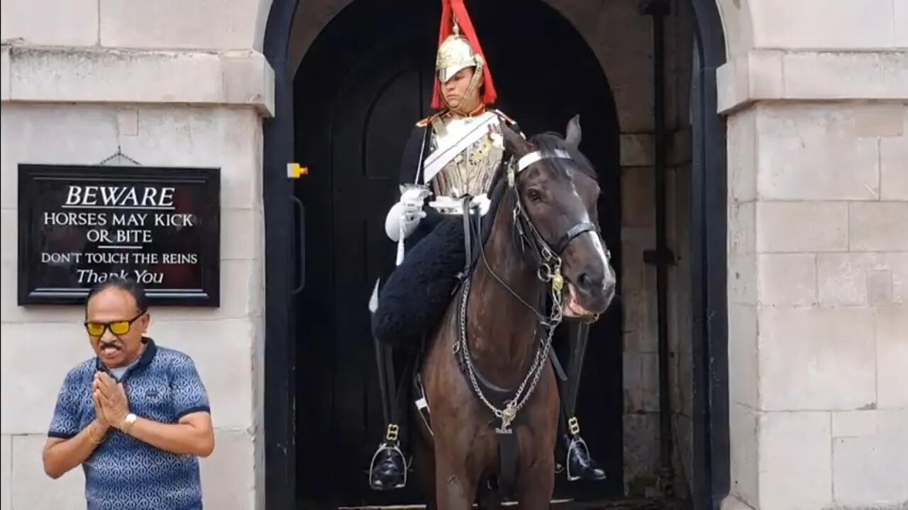 Tourist has a prayer 🙏 when the guard gives him that look 😆 🤣 😂 #horseguardsparade