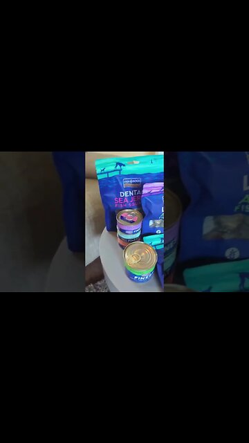 Bosch!🫸🐶❤️