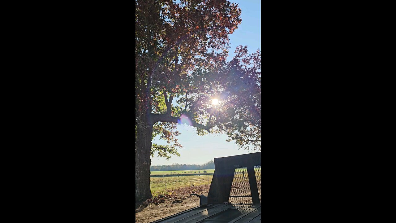 🏹🌳Indian Secret🌳🏹