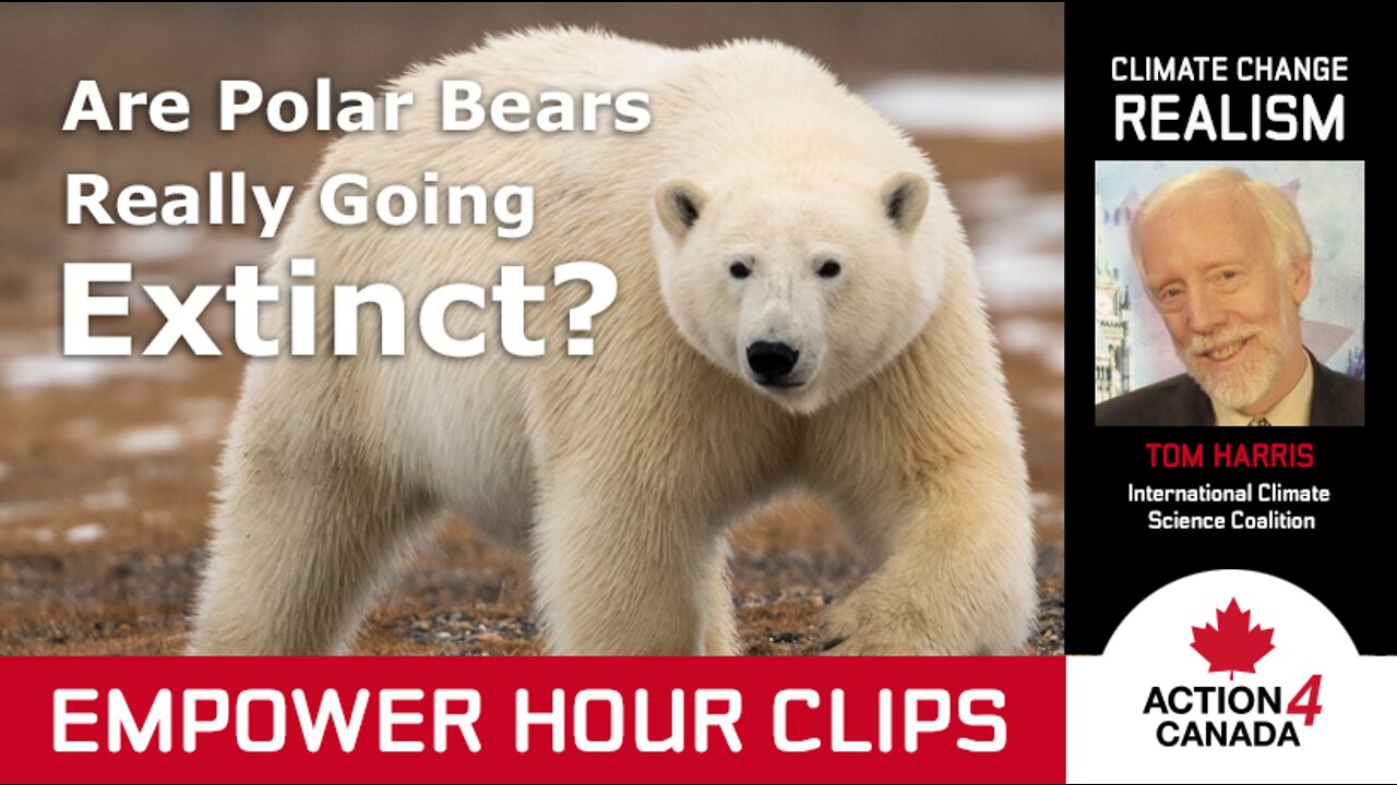 Tom Harris: Polar Bears are Not Going Extinct