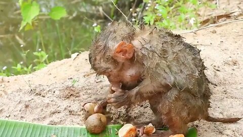 Oh My Goodness! baby kley rises from the ground to eat-14