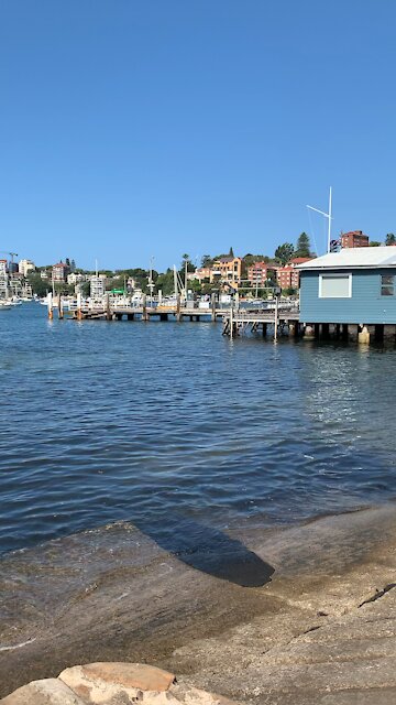 Double Bay Ferry Sydney
