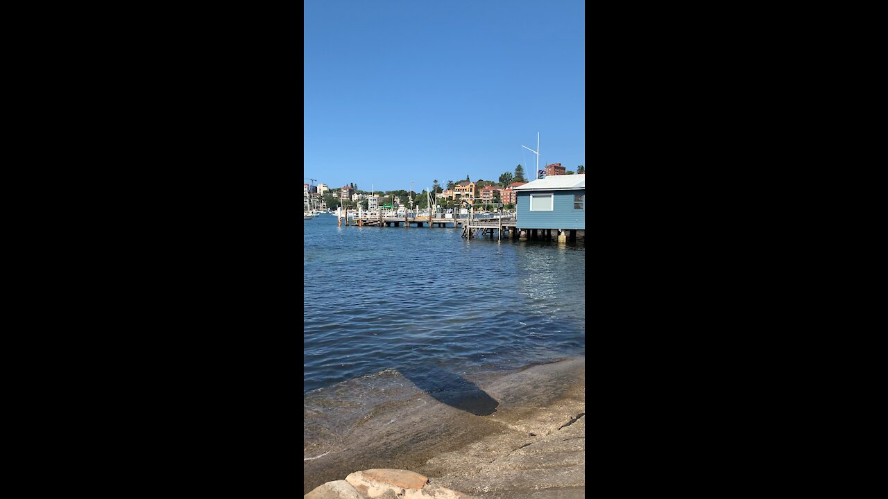 Double Bay Ferry Sydney