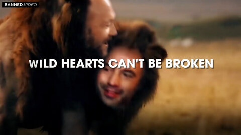 Wild Hearts (Twitter Edit)