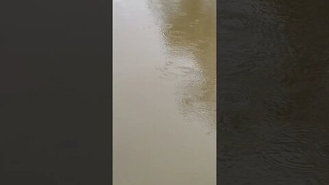 Rain on the dam