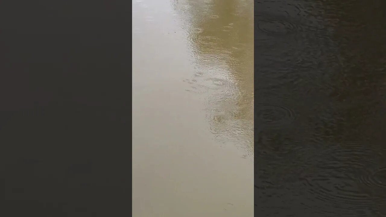 Rain on the dam