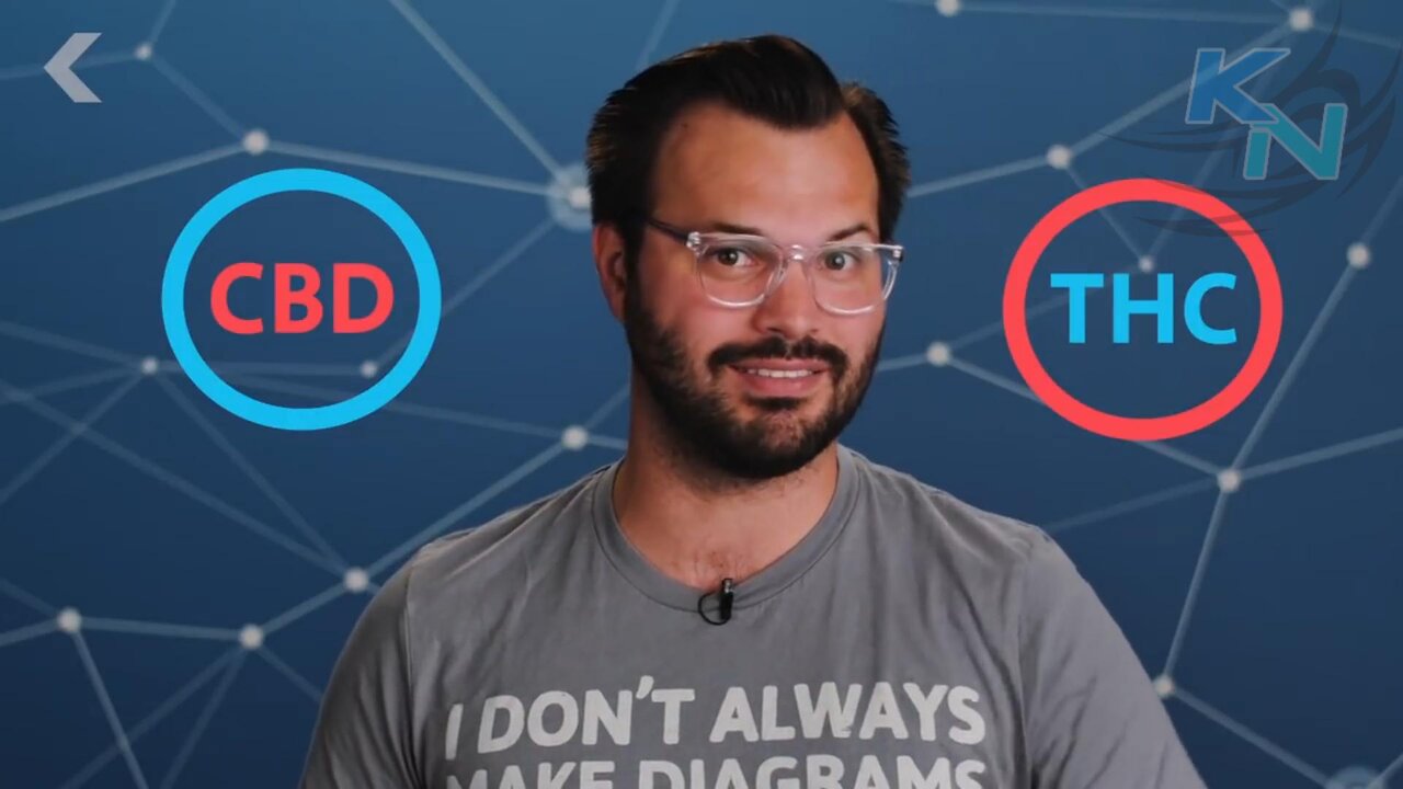 Learn CBD - The Harmony of CBD & THC