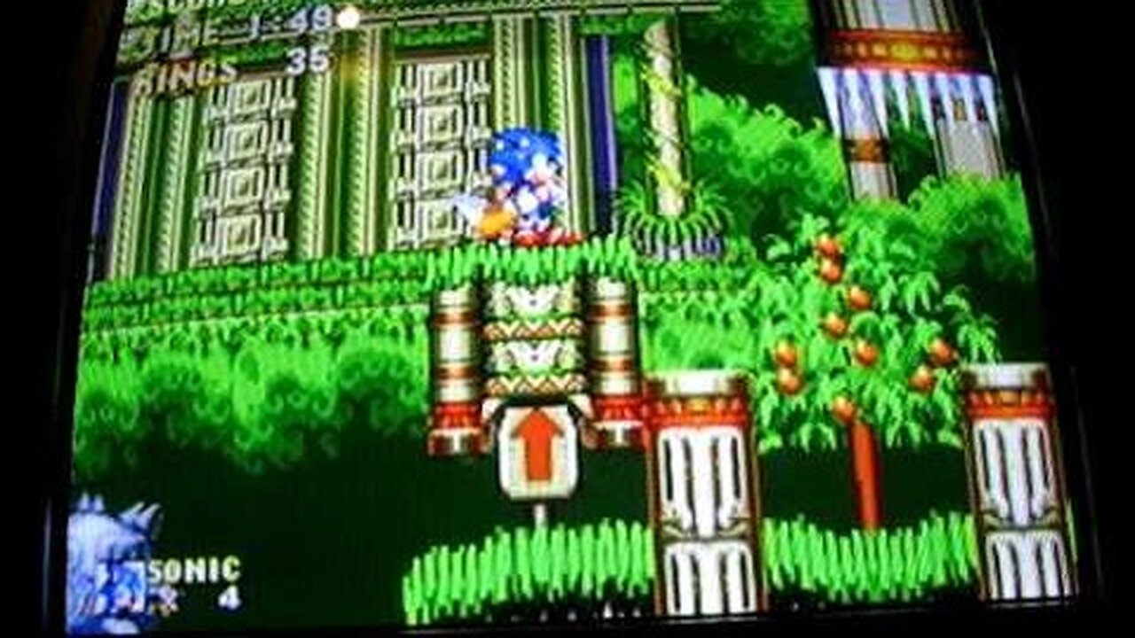 Sonic 3 & Knuckles 100% Walkthrough Part 3