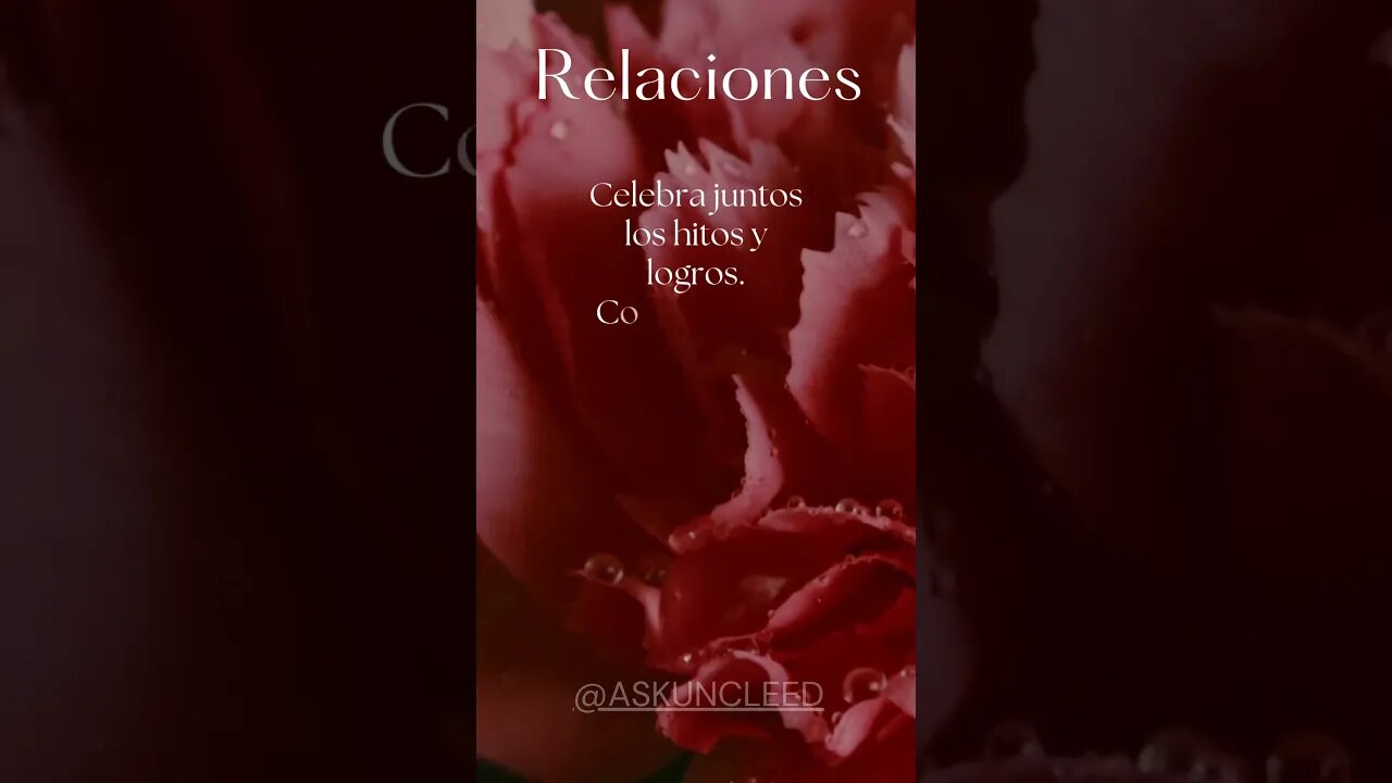 Consejos de Relaciones