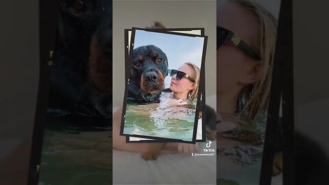 we love puppy dogs.